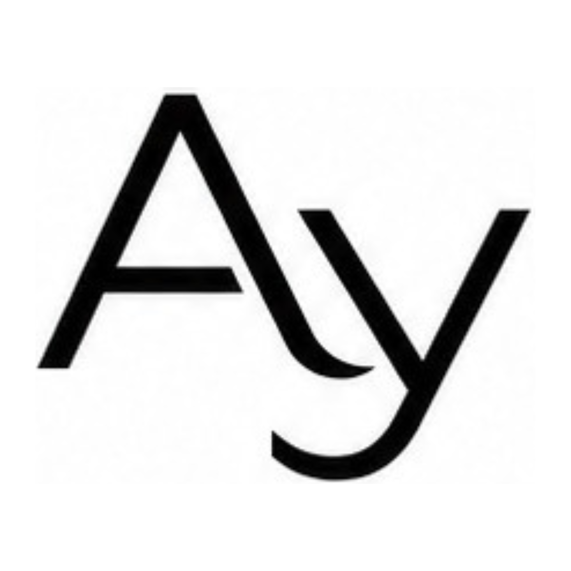 Ayka Ai Technologies Pvt Ltd